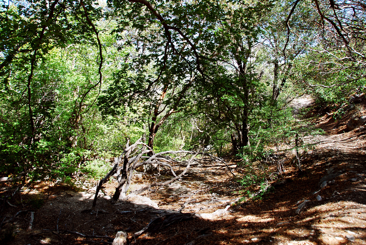 2013-05-05, 036, Frijole Ranch