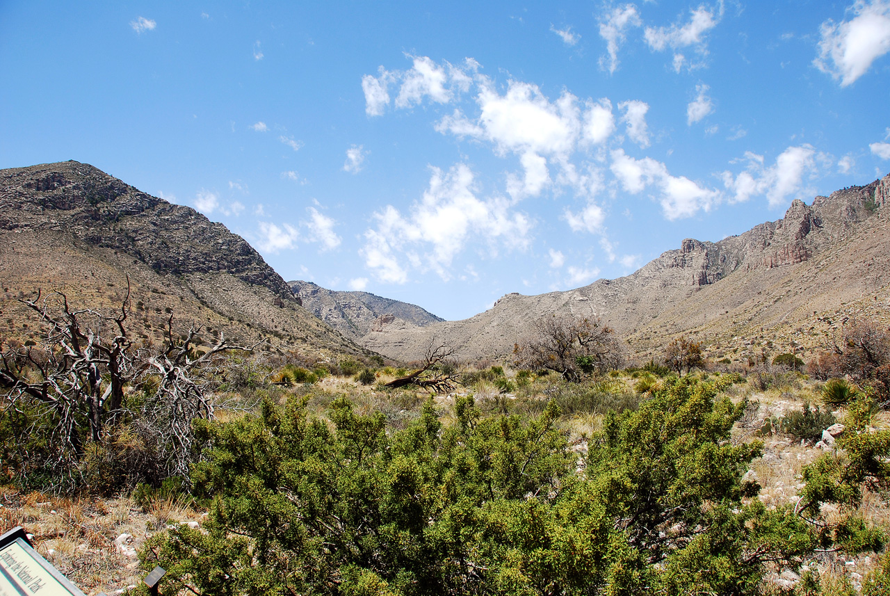 2013-05-05, 008, Guadalupe Mts, TX