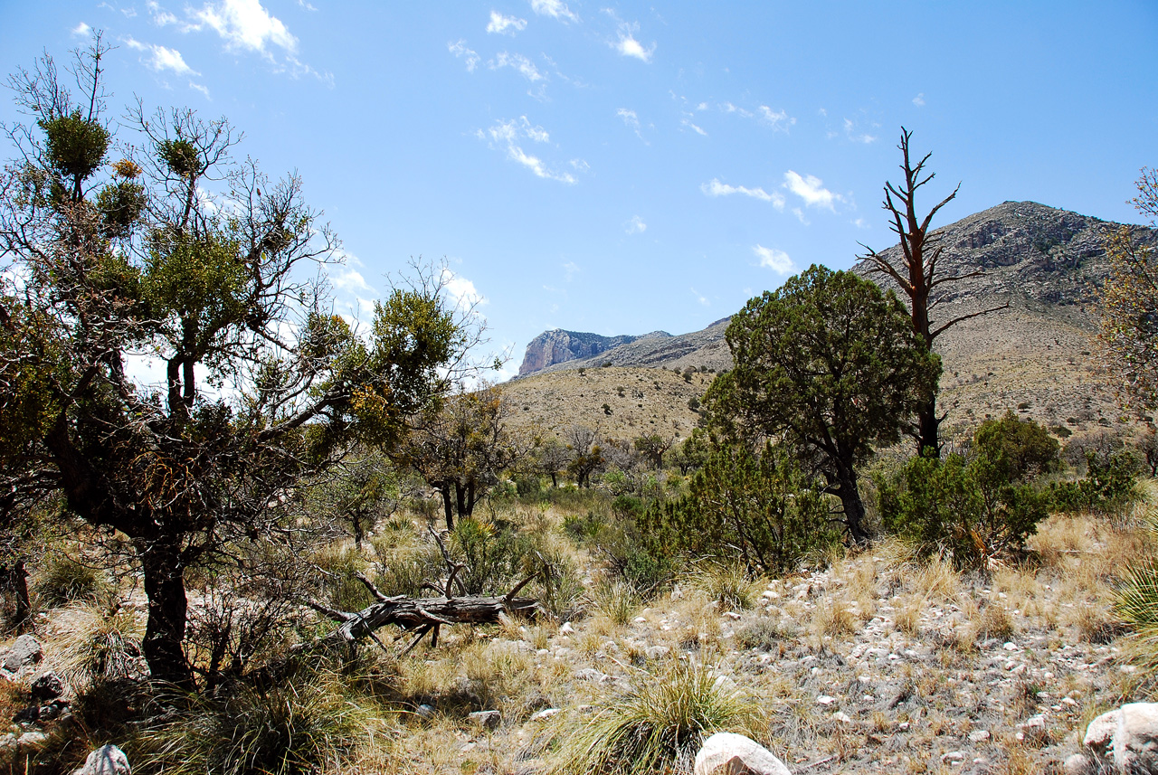 2013-05-05, 010, Guadalupe Mts, TX