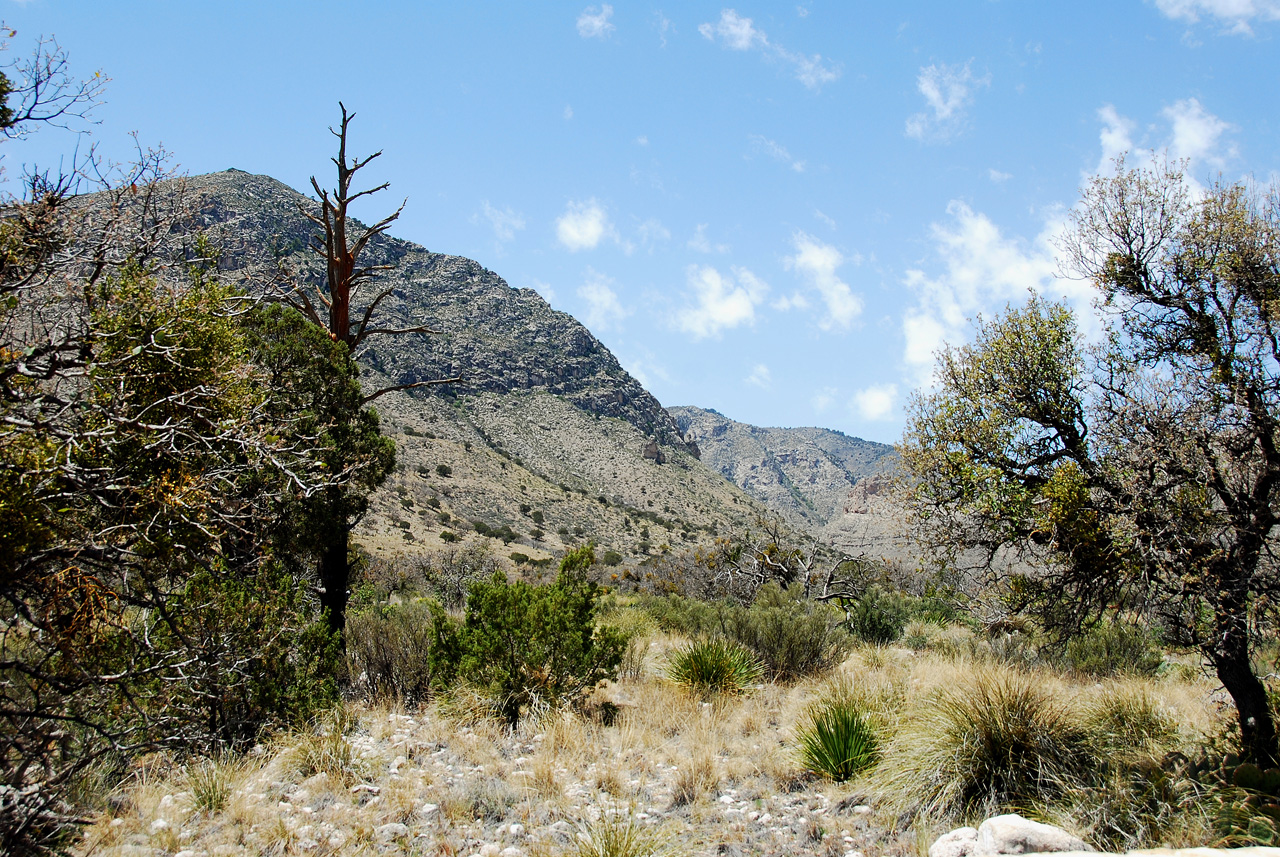 2013-05-05, 011, Guadalupe Mts, TX