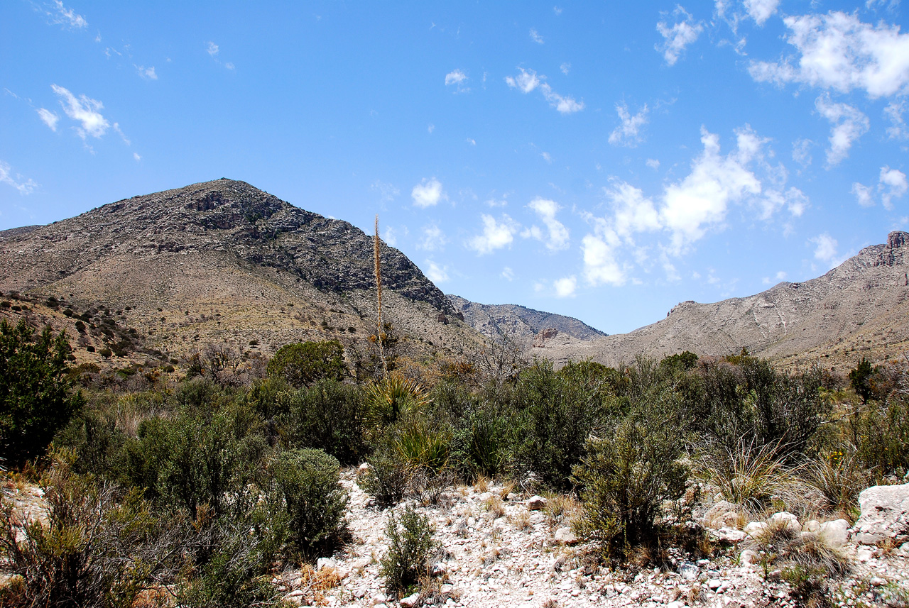 2013-05-05, 014, Guadalupe Mts, TX