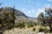 2013-05-05, 011, Guadalupe Mts, TX