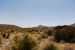 2013-05-05, 017, Guadalupe Mts, TX