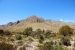 2013-05-05, 019, Guadalupe Mts, TX