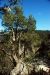 2013-05-12, 027, Walnut Canyon Nat Mon, AZ