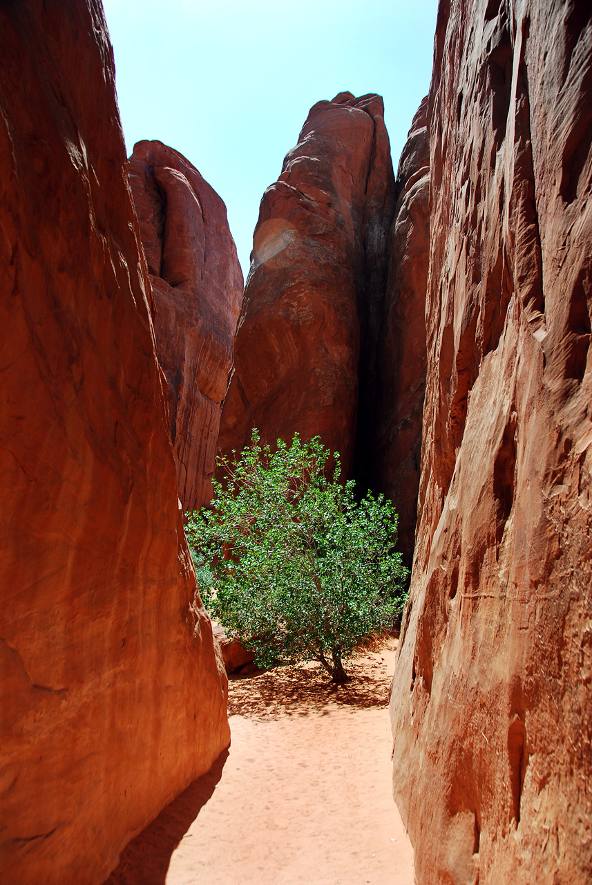 2013-05-18, 025, Sand Dune Arch, Arches NP, UT