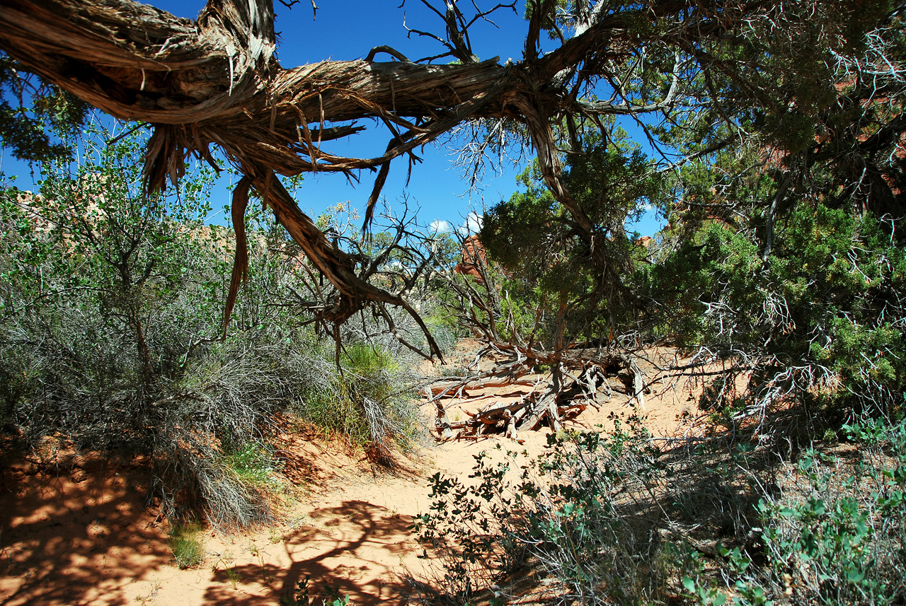 2013-05-19, 022, Fiery Furnace, Arches NP, UT