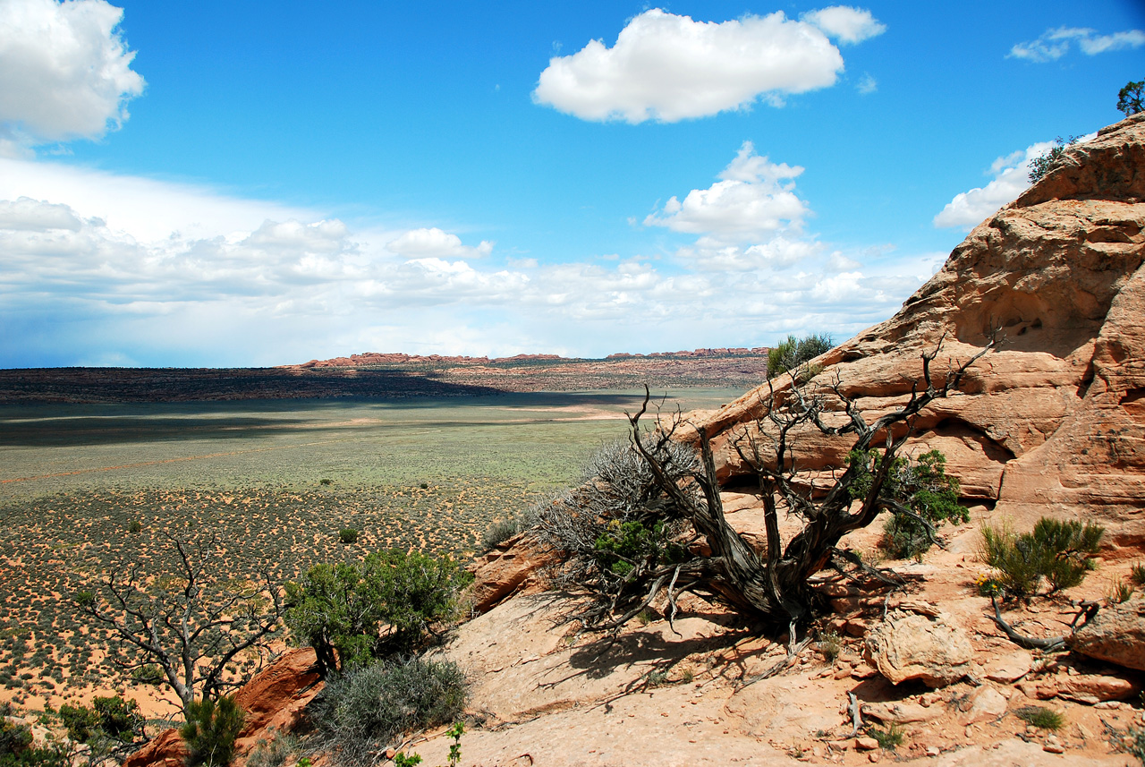 2013-05-19, 079, Tower Arch Trail, Arches NP, UT