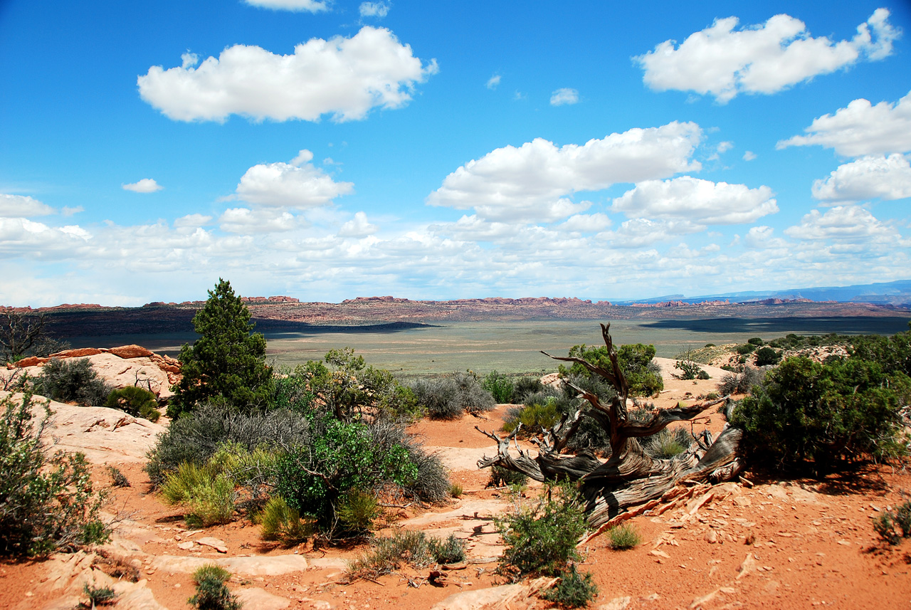 2013-05-19, 083, Tower Arch Trail, Arches NP, UT