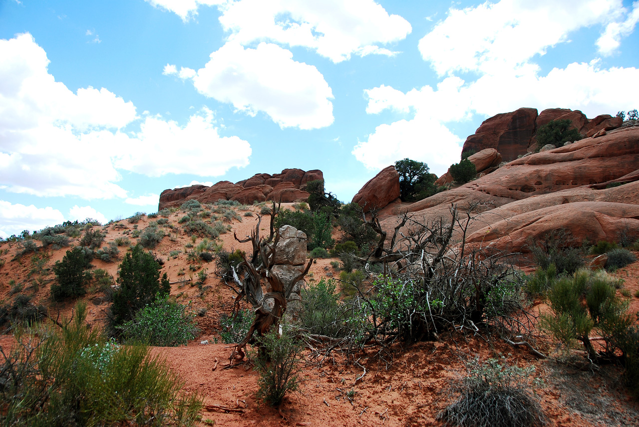 2013-05-19, 092, Tower Arch Trail, Arches NP, UT