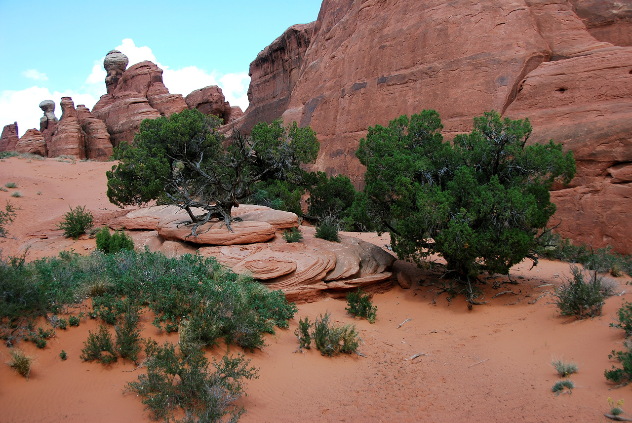 2013-05-19, 099, Tower Arch Trail, Arches NP, UT