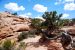 2013-05-19, 080, Tower Arch Trail, Arches NP, UT