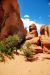 2013-05-19, 102, Tower Arch Trail, Arches NP, UT