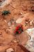 2013-05-19, 153, Tower Arch Trail, Arches NP, UT