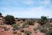 2013-05-24, 070, Anticline Overlook, Canyon Rims NF, UT