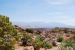 2013-05-24, 075, Anticline Overlook, Canyon Rims NF, UT