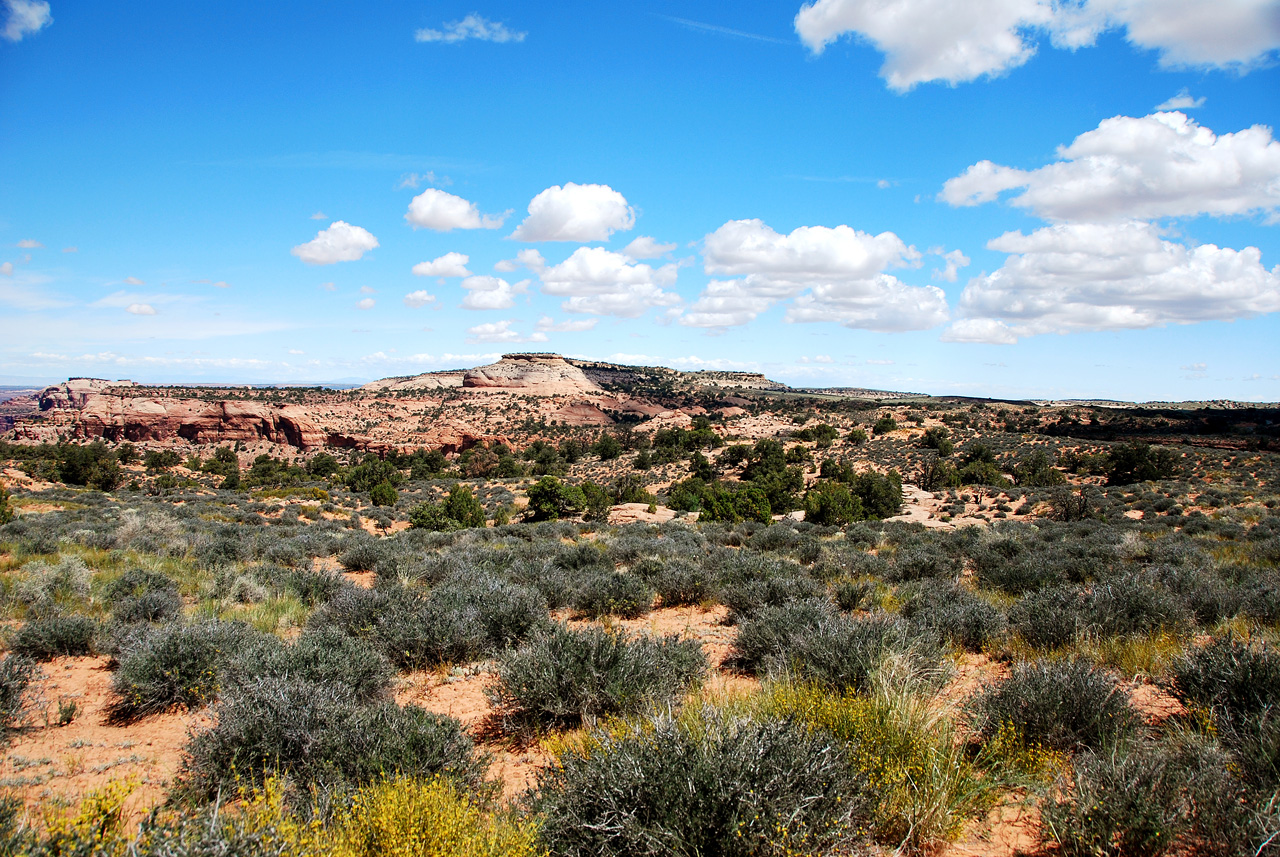 2013-05-21, 036, Shafer Canyon, Canyonlands, UT