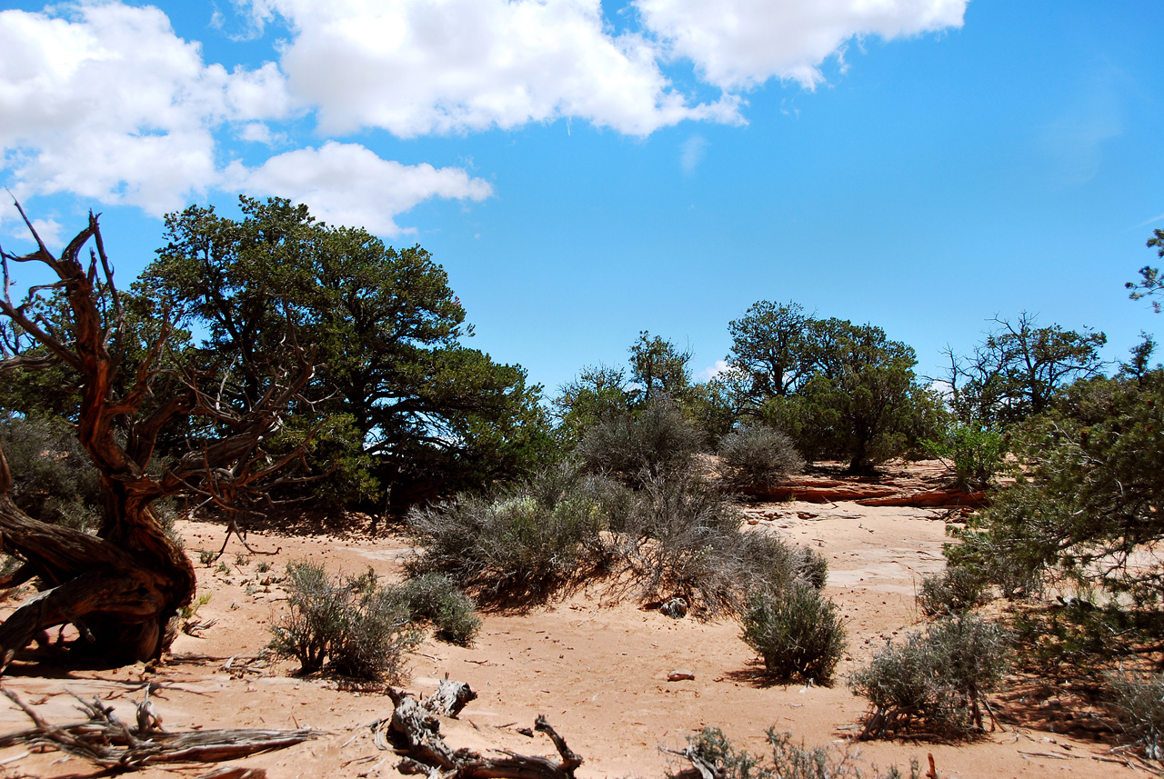 2013-05-21, 055, Mesa Arch, Canyonlands, UT