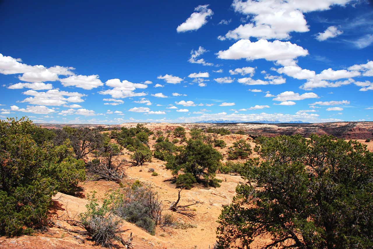 2013-05-21, 110, Whale Rock, Canyonlands, UT