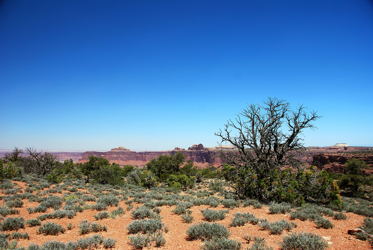 2013-05-23, 012, Murphy Point Trail, Canyonlands NP, UT