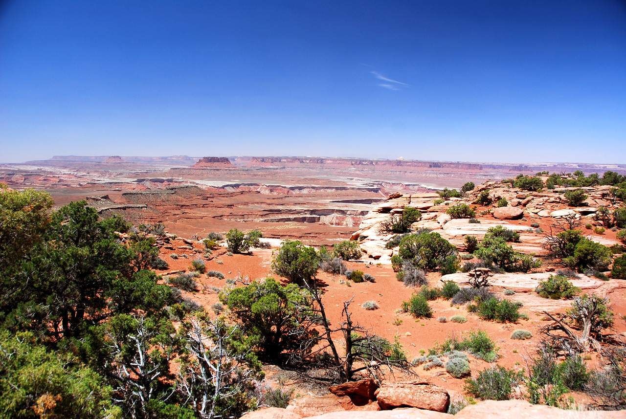 2013-05-23, 030, Murphy Point Trail, Canyonlands NP, UT