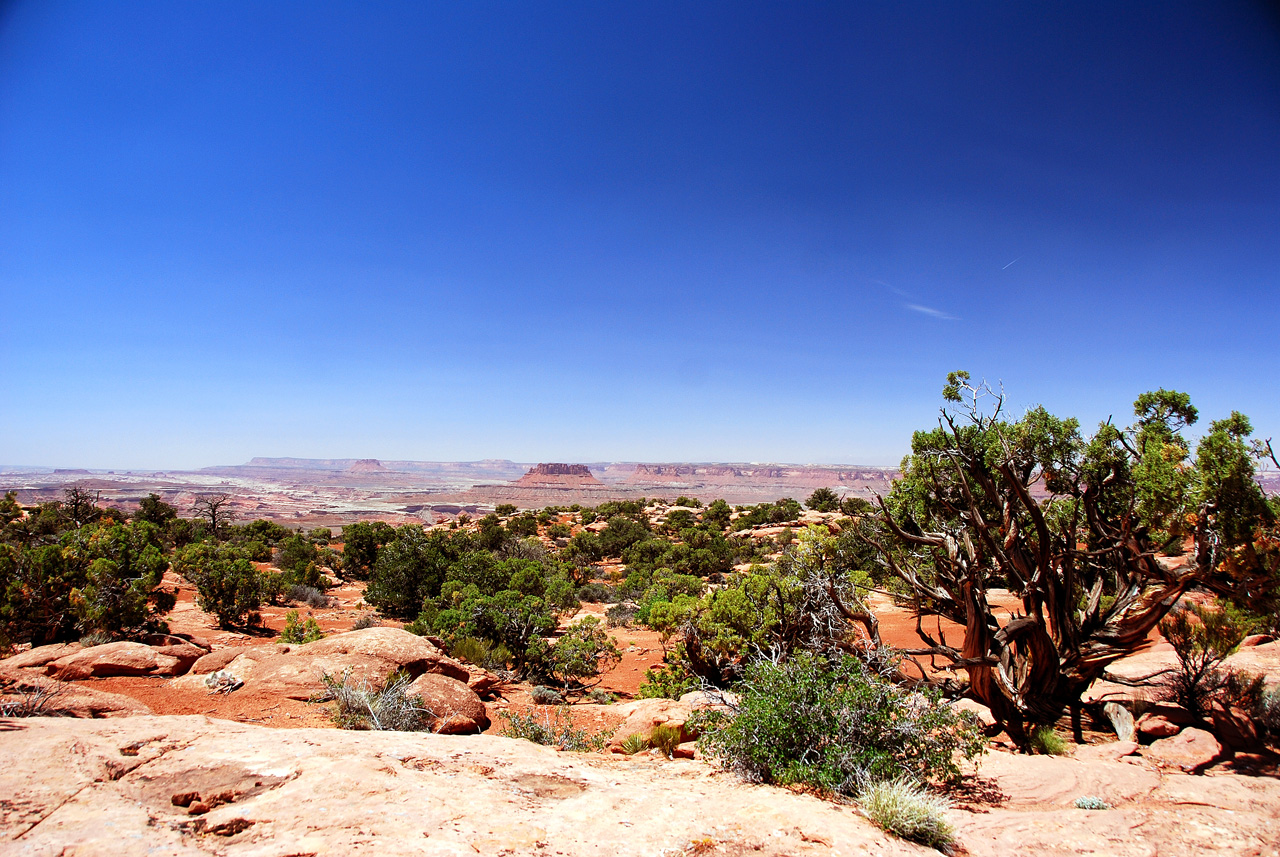 2013-05-23, 032, Murphy Point Trail, Canyonlands NP, UT