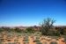 2013-05-23, 012, Murphy Point Trail, Canyonlands NP, UT