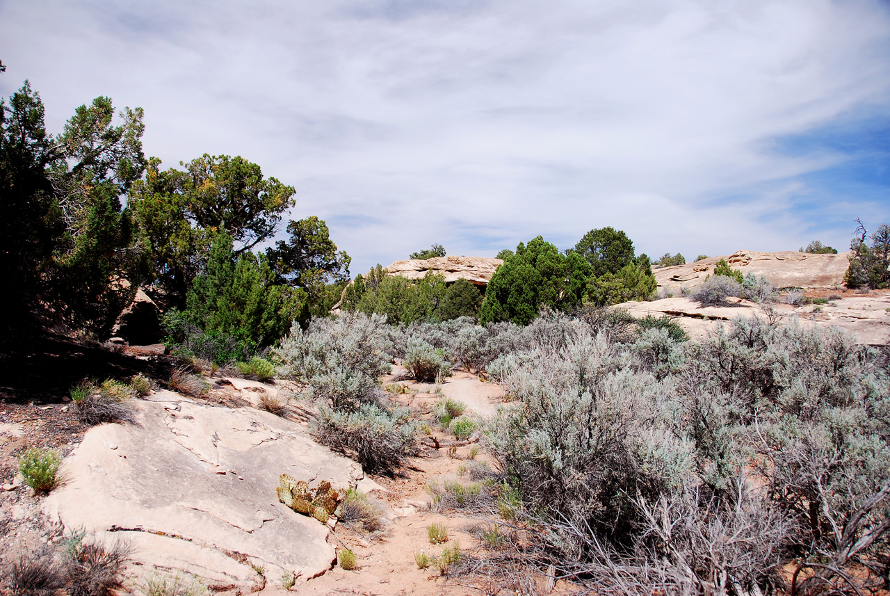 2013-05-24, 017, Roadside Ruin Trail, Canyonlands NP, UT