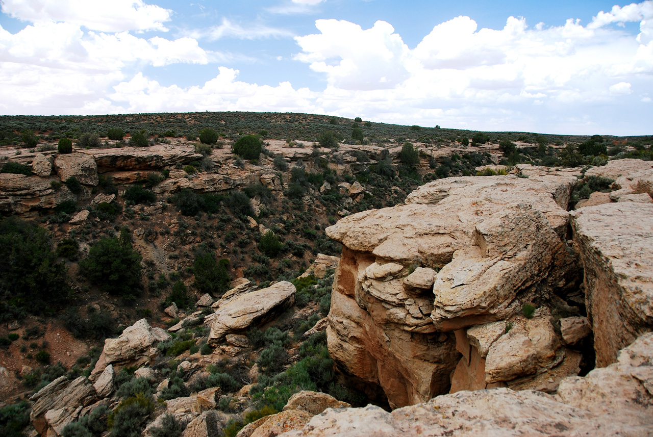 2013-06-03, 038, Canyon, Hovenweep NM, UT