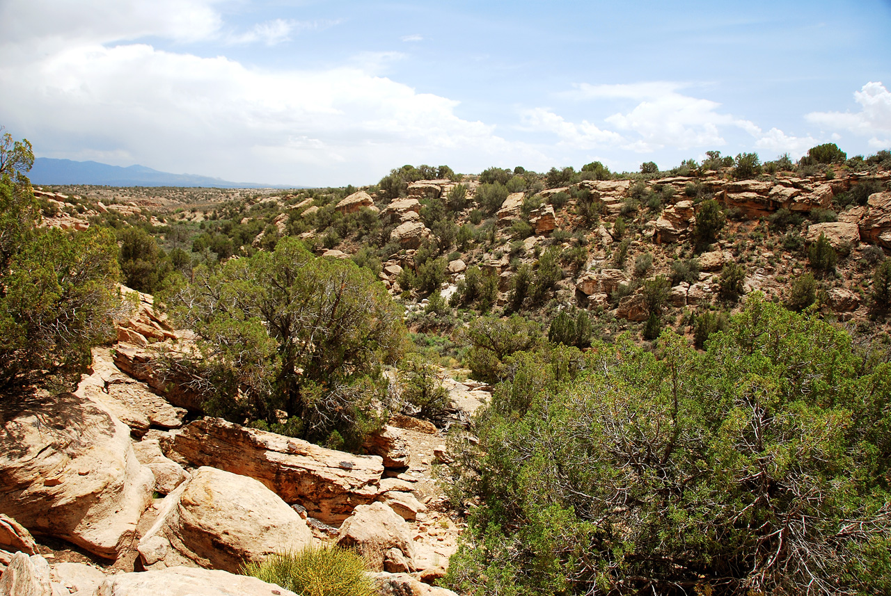 2013-06-03, 081, Canyon Base, Hovenweep NM, UT