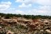 2013-06-03, 073, Boulder House, Hovenweep NM, UT