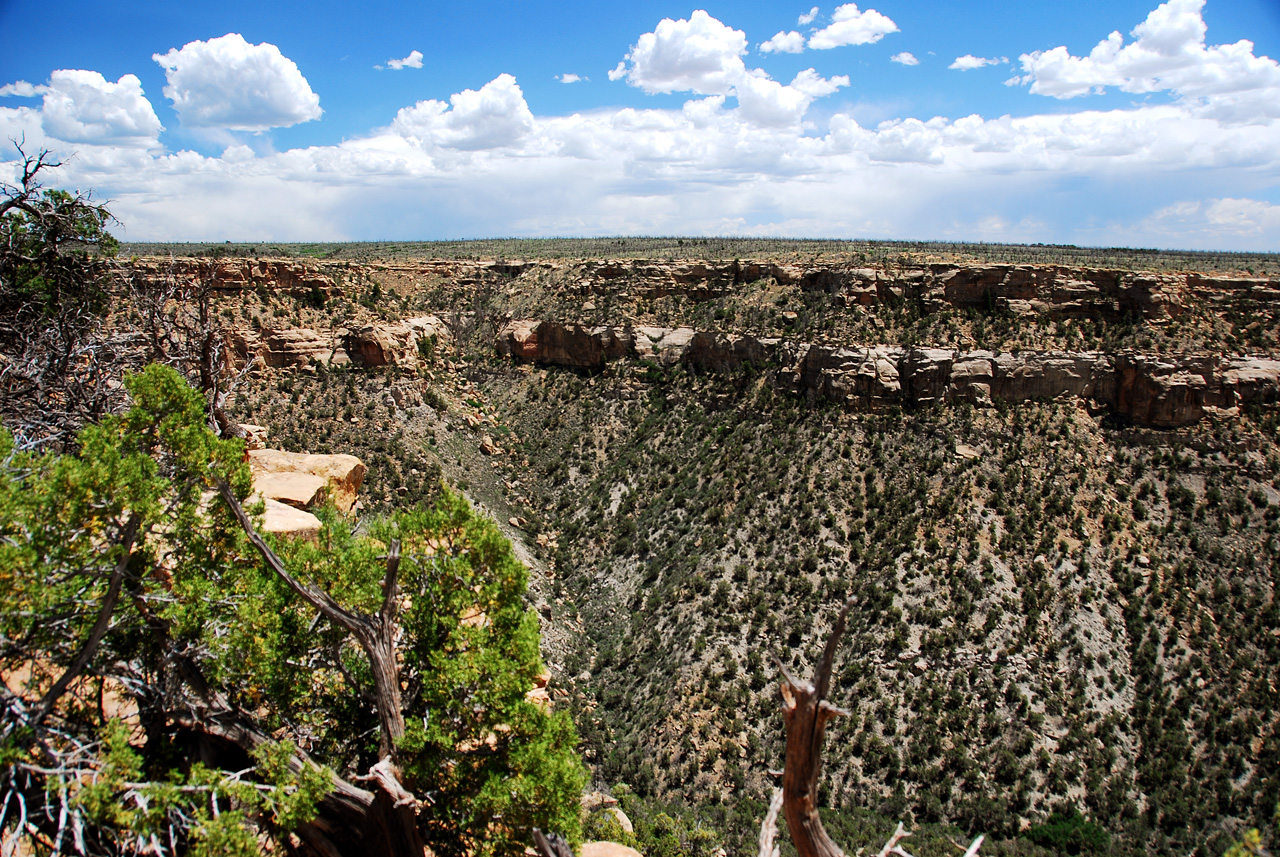 2013-06-05, 073, Soda Canyon, Mesa Verde NP, CO