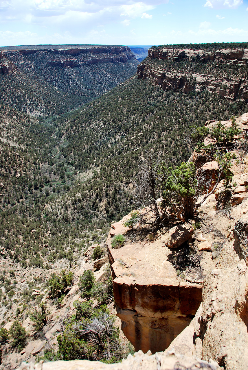 2013-06-05, 078, Soda Canyon, Mesa Verde NP, CO