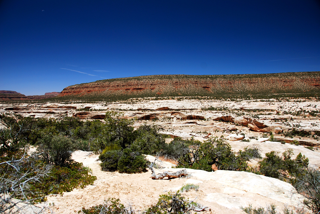 2013-06-01, 006, Bridge View Dr, Natural Bridges NM, UT