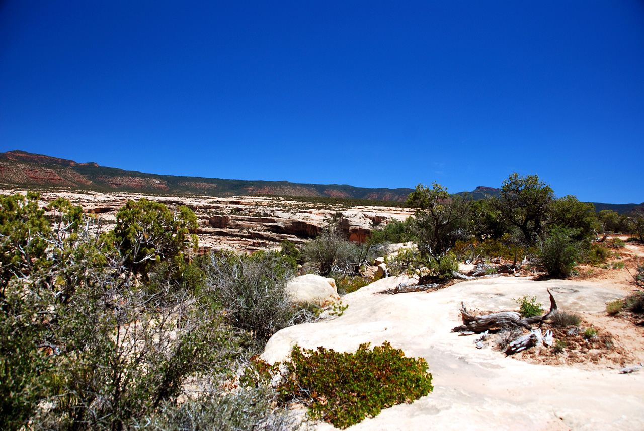 2013-06-01, 008, Bridge View Dr, Natural Bridges NM, UT