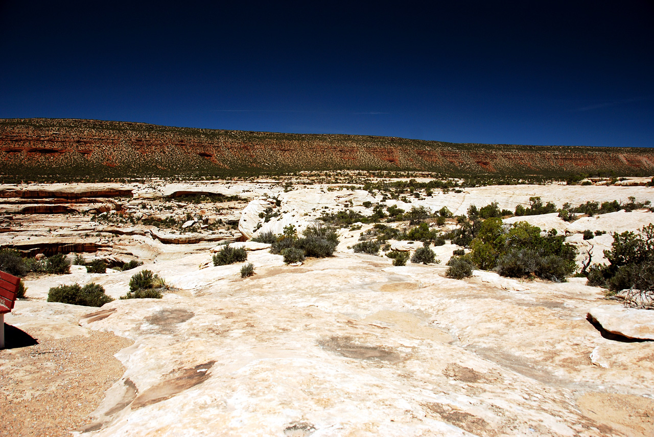 2013-06-01, 013, Sipapu Bridge, Natural Bridges NM, UT