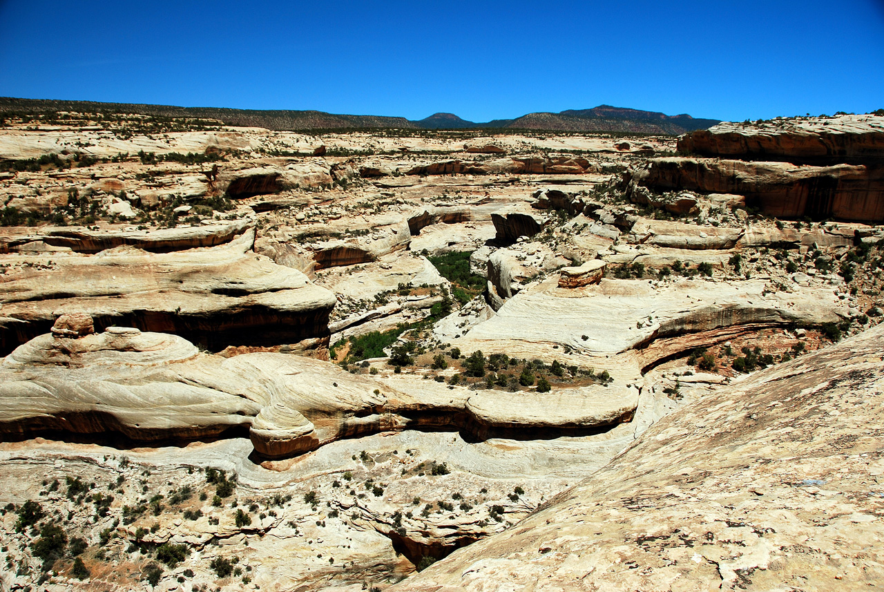 2013-06-01, 018, Sipapu Bridge Trail, Natural Bridges NM, UT