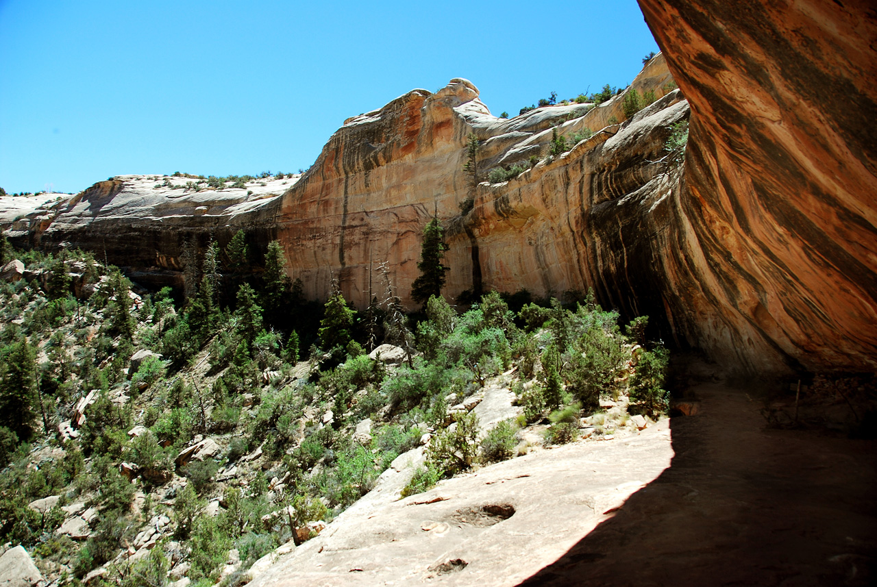 2013-06-01, 024, Sipapu Bridge Trail, Natural Bridges NM, UT