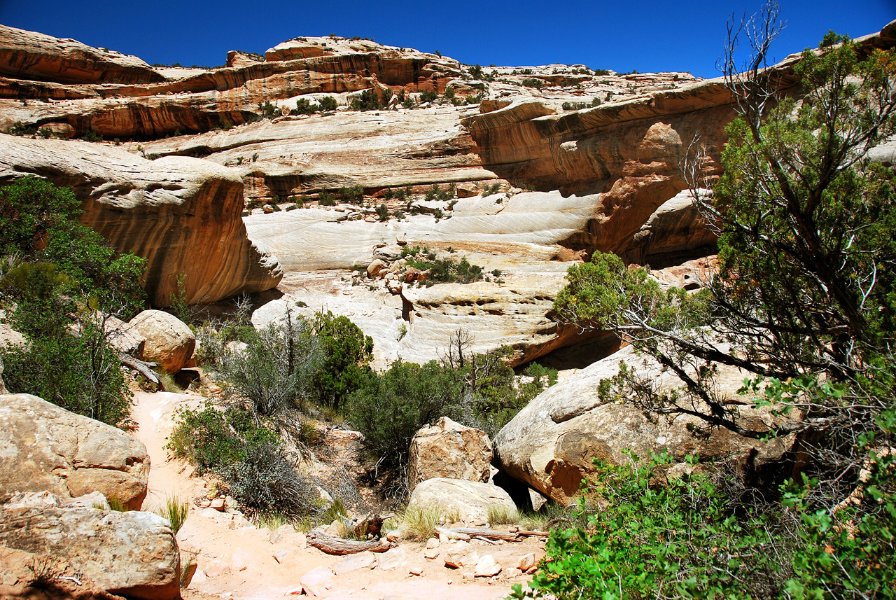 2013-06-01, 032, Sipapu Bridge Trail, Natural Bridges NM, UT