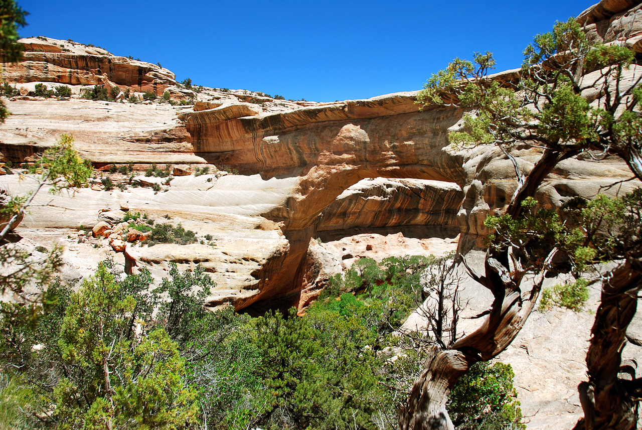 2013-06-01, 033, Sipapu Bridge Trail, Natural Bridges NM, UT