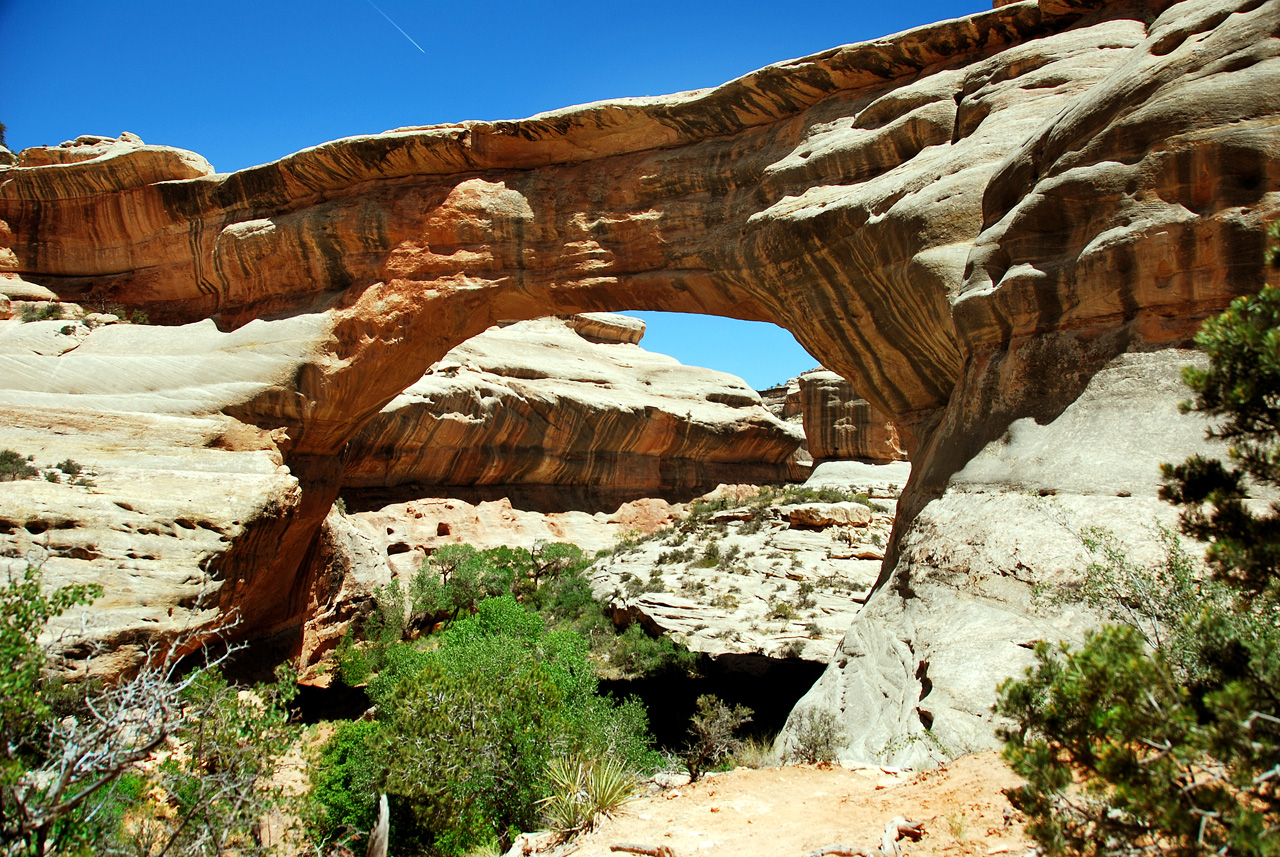 2013-06-01, 034, Sipapu Bridge Trail, Natural Bridges NM, UT