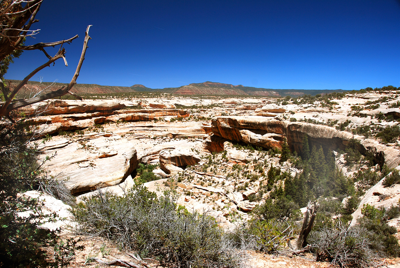 2013-06-01, 047, Horsecollar Ruin, Natural Bridges NM, UT