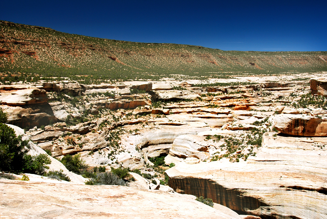 2013-06-01, 049, Horsecollar Ruin, Natural Bridges NM, UT