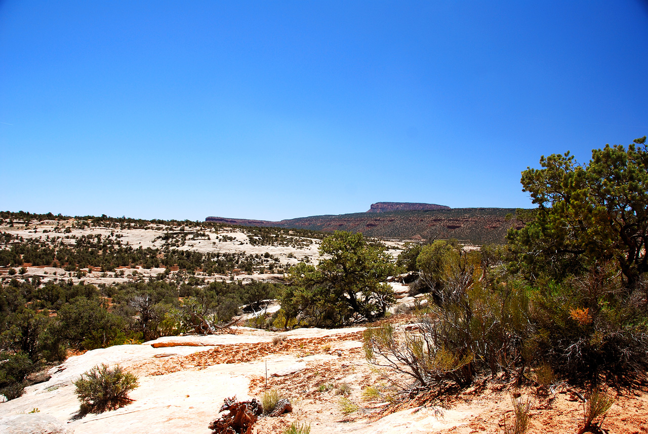 2013-06-01, 050, Horsecollar Ruin, Natural Bridges NM, UT