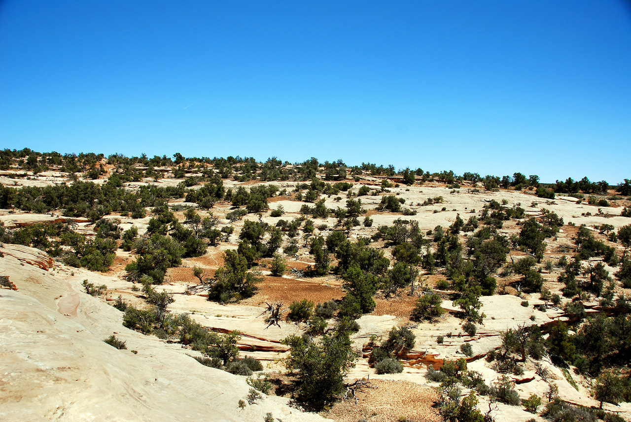 2013-06-01, 069, Natural Bridges NM, UT