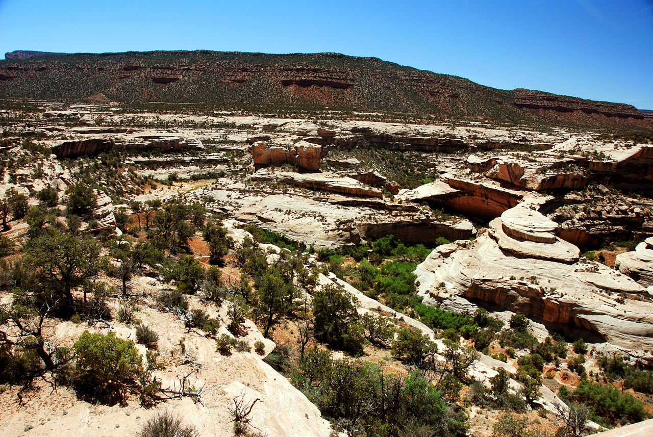 2013-06-01, 072, Natural Bridges NM, UT