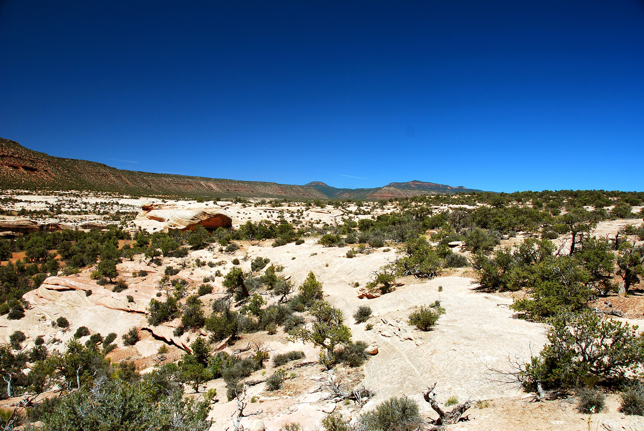 2013-06-01, 073, Natural Bridges NM, UT