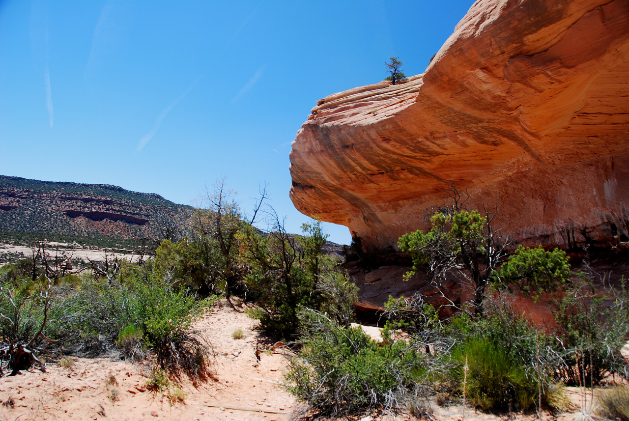 2013-06-01, 078, Kachina Bridge, Natural Bridges NM, UT