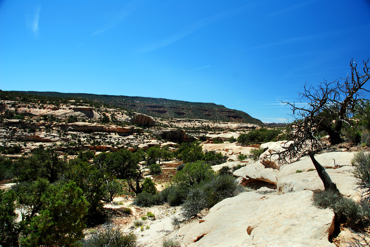 2013-06-01, 091, Owachomo Bridge, Natural Bridges NM, UT