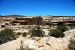 2013-06-01, 017, Sipapu Bridge Trail, Natural Bridges NM, UT